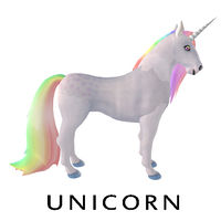 Charmed Unicorn