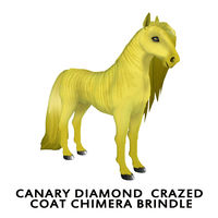 Canary Diamond Crazed Coat Chimera Brindle