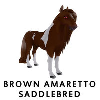 Brown Amaretto Saddlebred