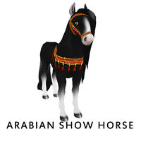 Amaretto Arabian Show Horse