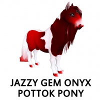 Jazzy Gem - Onyx Pottok Pony