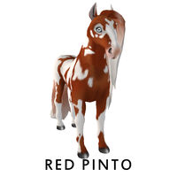 Red Pinto