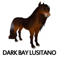 Dark Bay Lusitano