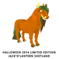 Halloween 2014 Limited Edition - Jack'o'Lantern Shetland