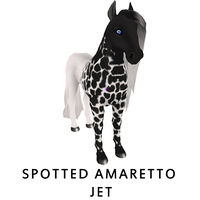 Spotted Amaretto Jet