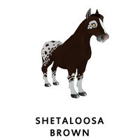 Shetaloosa Brown