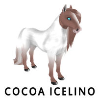 Cocoa Icelino