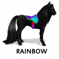 Saddle Rainbow