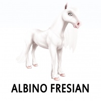 Albino Friesian Front