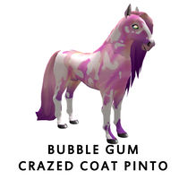 Bubble Gum Crazed Coat Pinto