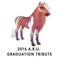 2016 A.R.U. Graduation - Tribute