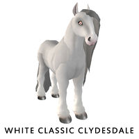 White Classic Clydesdale