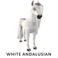 White Andalusian