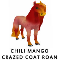 Chili Mango Crazed Coat Roan