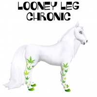 Looney Leg Chronic