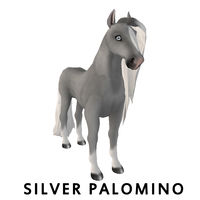 Silver Palomino