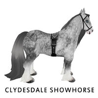 Amaretto Clydesdale Showhorse