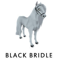 Black Bridle