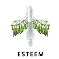 Esteem