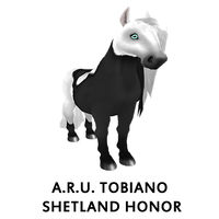 A.R.U. Tobiano Shetland Honor