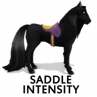 Saddle Intensity