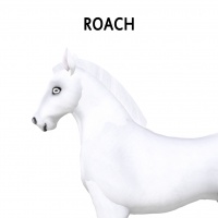 Roach Mane