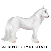 Albino Clydesdale Side