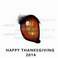 Happy Thanksgiving 2014