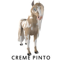 Crème Pinto