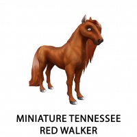 Miniature Tennessee Red Walker