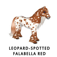 Leopard-Spotted Falabella Red