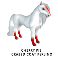 Cherry Pie Crazed Coat Perlino