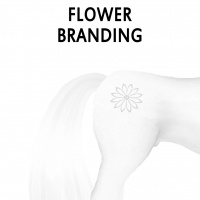 Flower Branding