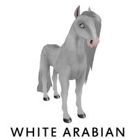 White Arabian