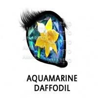 Aquamarine Daffodil