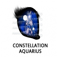 Constellation - Aquarius February 1 - February 28, 2021