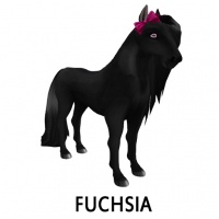 Bow Fuchsia