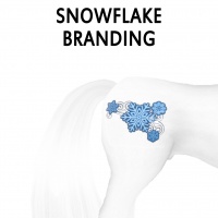 Winter Snowflake Branding