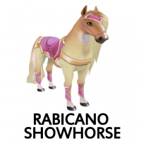 Rabicano Showhorse