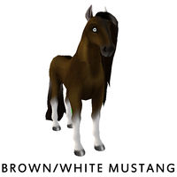 Brown/White Mustang