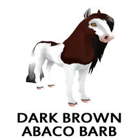 Dark Brown Abaco Barb