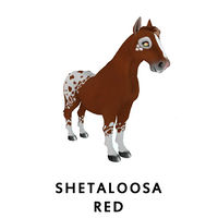 Shetaloosa Red