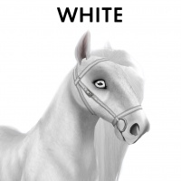 White Bridle