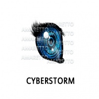 Cyberstorm