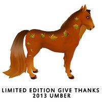 Limited Edition Give Thanks 2013- Umber