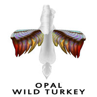 Opal Wild Turkey Wing