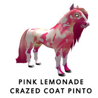 Pink Lemonade Crazed Coat Pinto