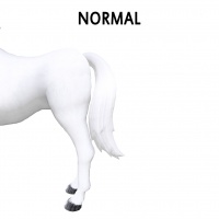 Normal Tail