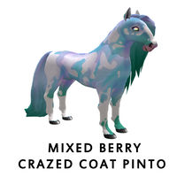 Mixed Berry Crazed Coat Pinto