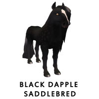 Black Dapple Saddlebred